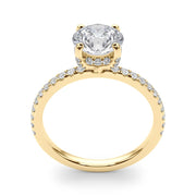 Round Hidden Halo and Diamond Band Setting