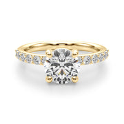 Round Prong Set Diamond Setting