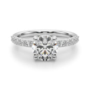 Round Prong Set Diamond Setting