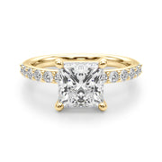 Princess Cut Diamond Band Setting