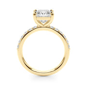 Princess Cut Diamond Band Setting