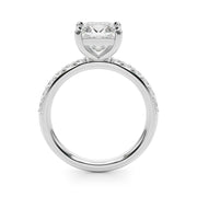 Princess Cut Diamond Band Setting