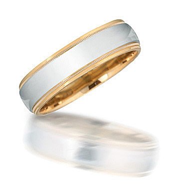 NT08014 Two-Toned Wedding Band